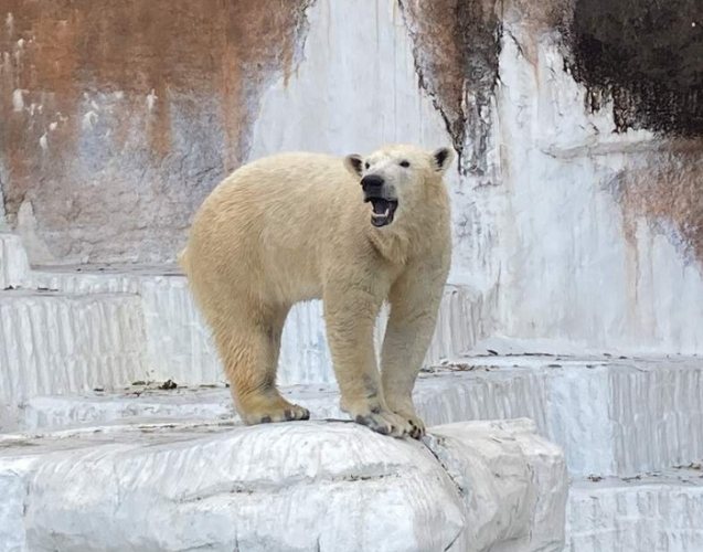 天王寺動物園 天王寺動物園