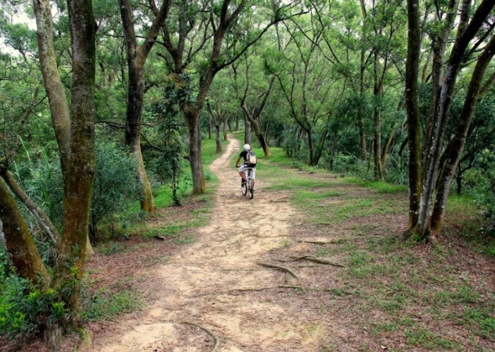 鹿廚坑步道 鹿廚坑步道