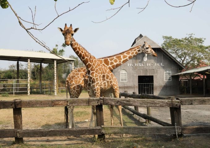 台南動物園