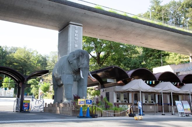 東京動物園 東京動物園