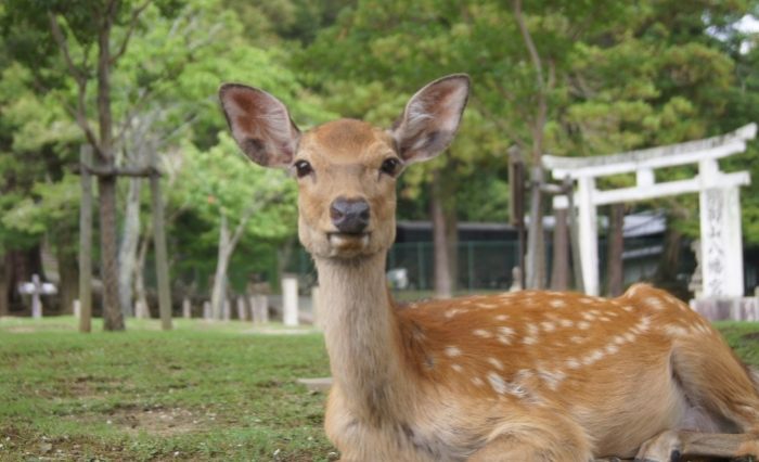 彰化動物園 彰化動物園