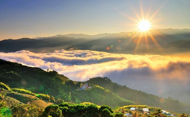 阿里山國家風景區 阿里山國家風景區