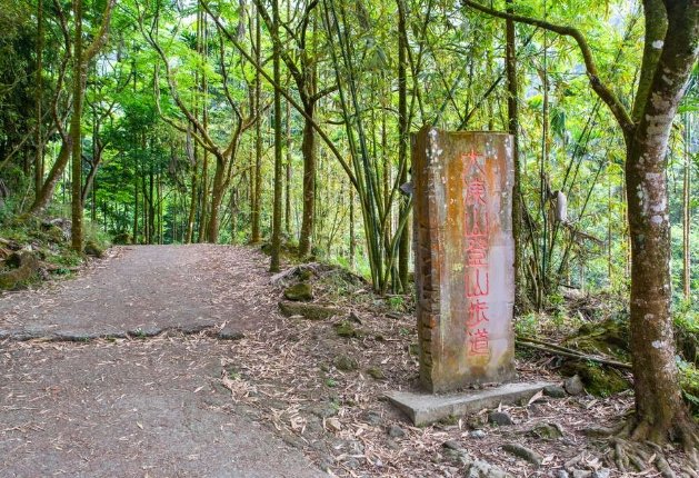 大凍山 大凍山