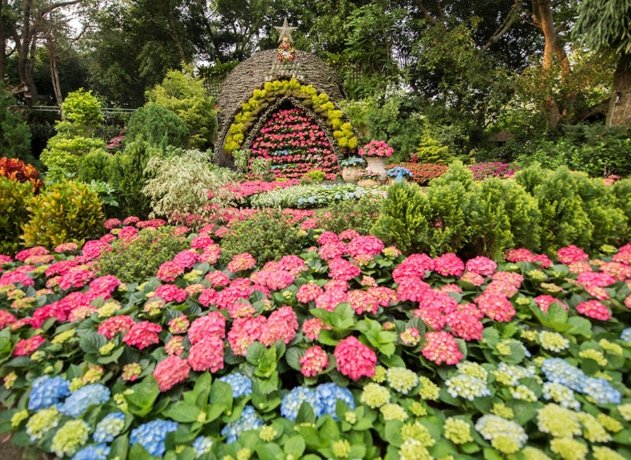 苗栗花露農場 苗栗花露農場
