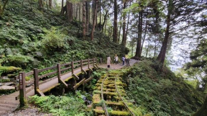 太平山檜木原始林步道