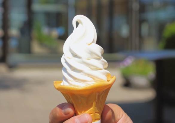 旭川景點 旭川景點