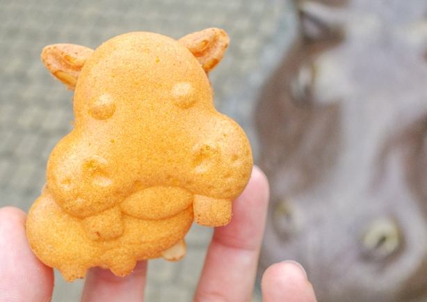 台北動物園 台北動物園