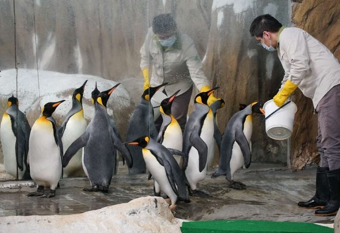 台北動物園 台北動物園