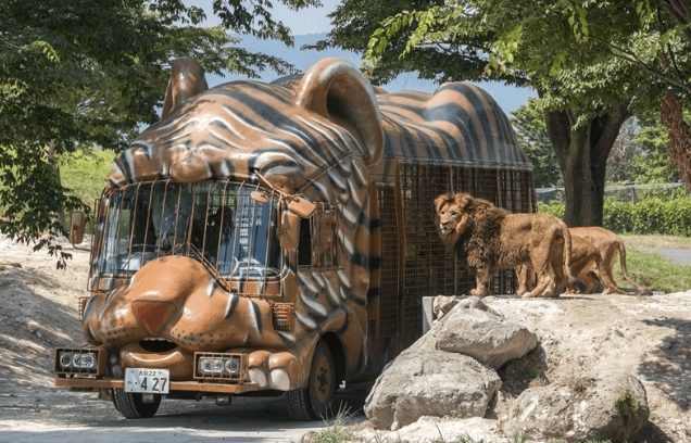 東京動物園 東京動物園