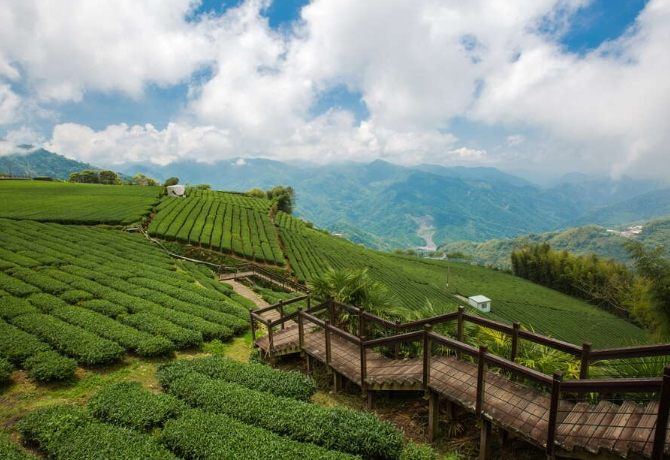 阿里山國家風景區