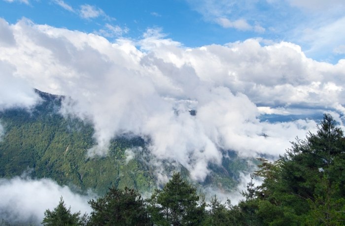 大雪山森林遊樂區 大雪山森林遊樂區
