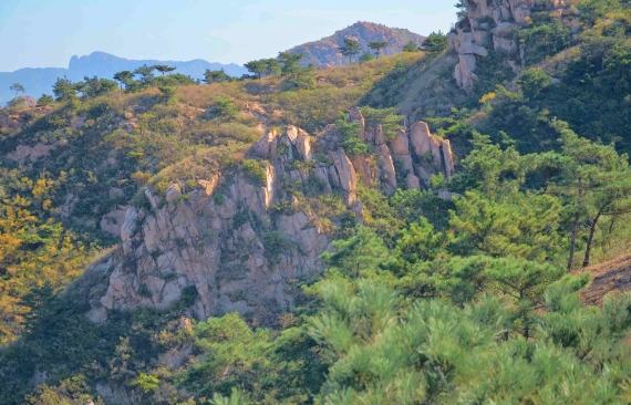 兔耳山 兔耳山