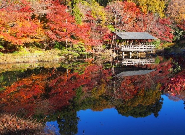 名古屋旅遊