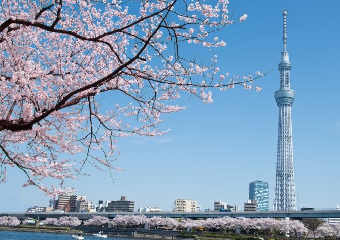 日本晴空塔 日本晴空塔