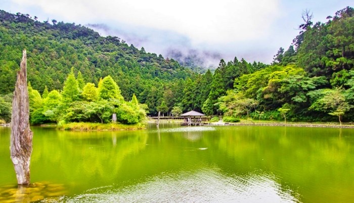 明池森林遊樂區 明池森林遊樂區