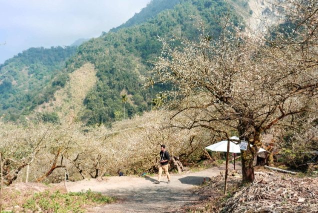 台南山區景點 台南山區景點