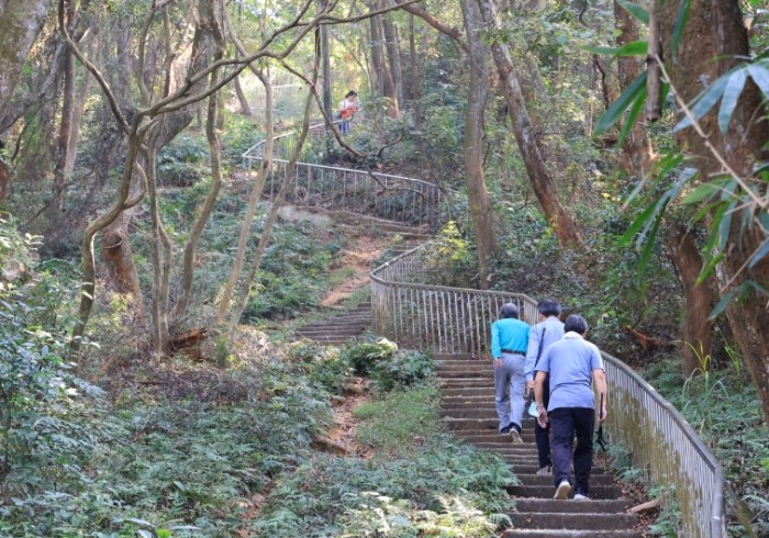 田中森林公園登山步道 田中森林公園登山步道