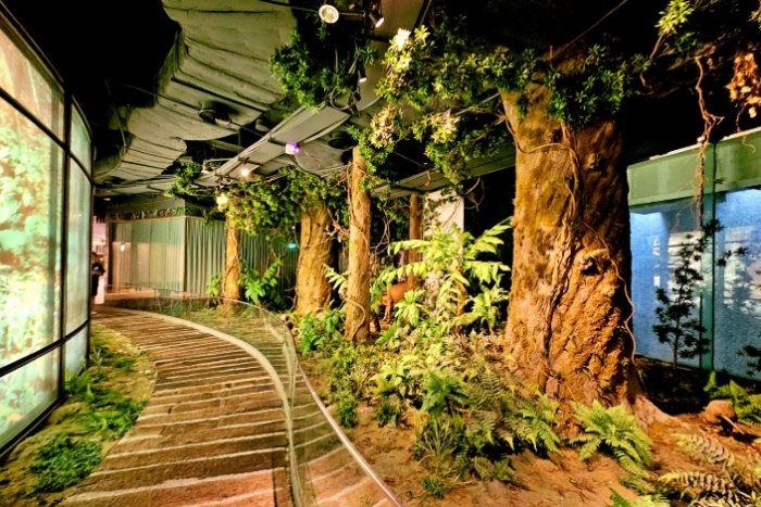 太平洋自行車博物館 太平洋自行車博物館