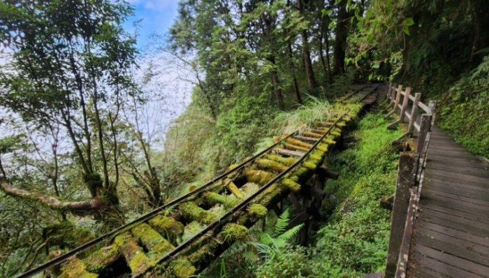 太平山檜木原始林步道