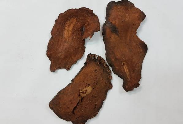 何首烏功效 何首烏功效