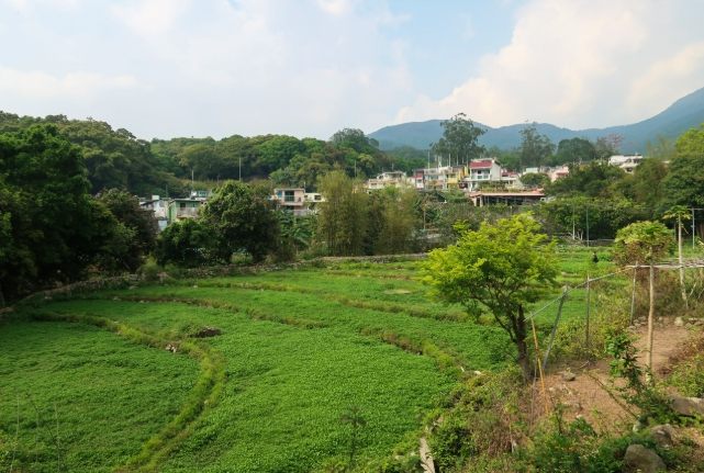 大帽山 大帽山