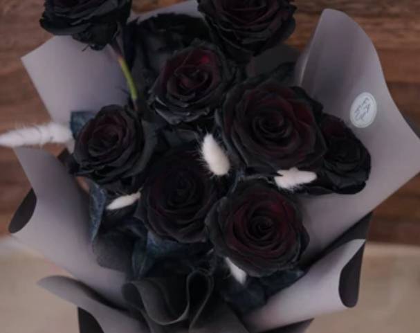 黑玫瑰花語 黑玫瑰花語