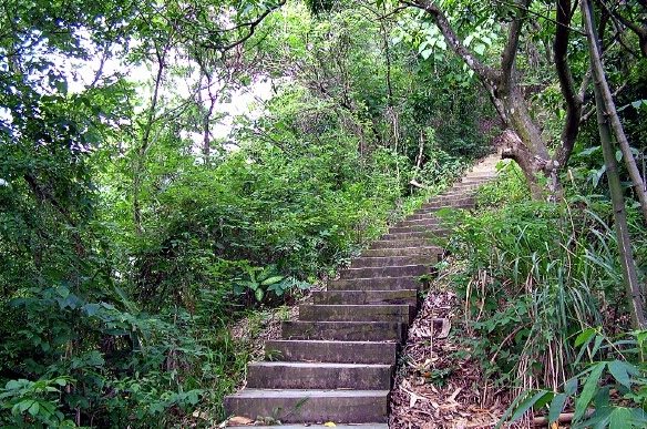 聚興山 聚興山