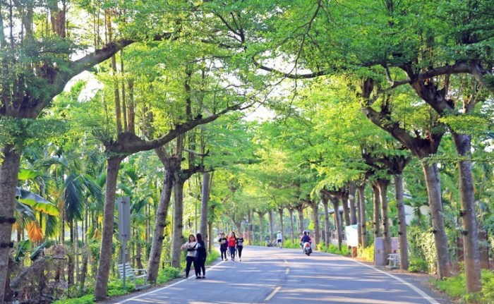 泗林健走步道 泗林健走步道