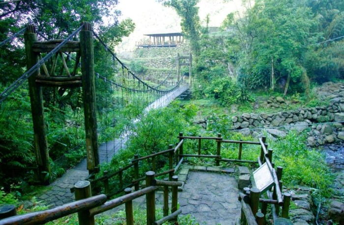 阿里山迷糊步道 阿里山迷糊步道