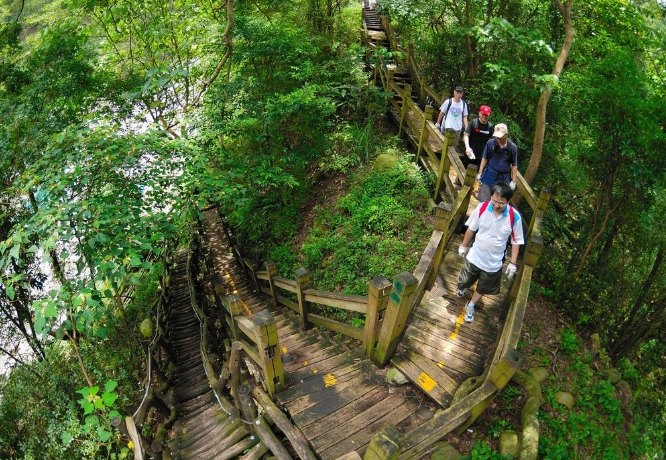 大坑登山步道 大坑登山步道