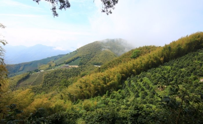二尖山步道