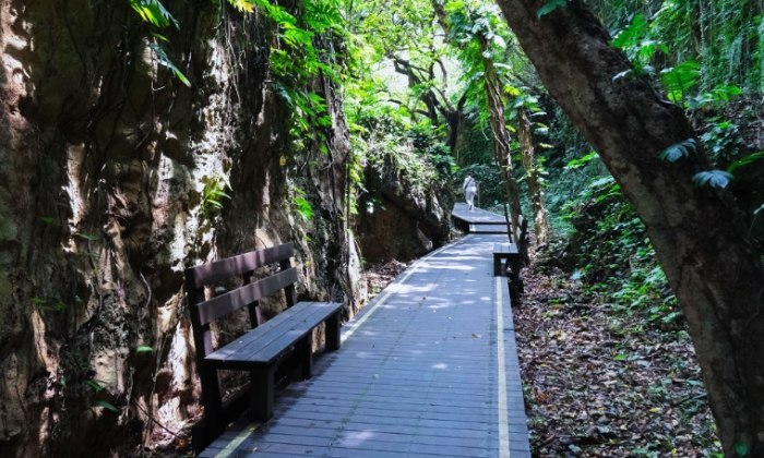 山豬溝生態步道 山豬溝生態步道
