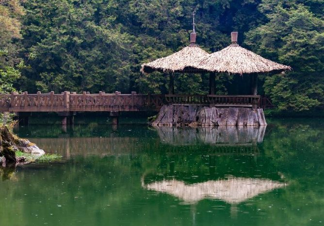 阿里山旅遊 阿里山旅遊