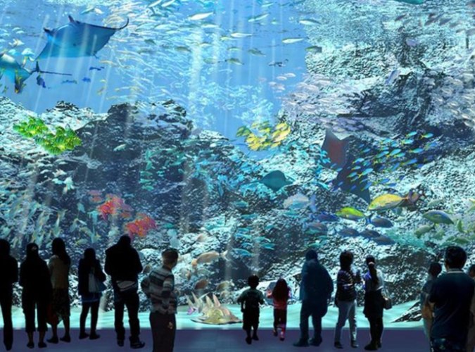 桃園海洋館 桃園海洋館