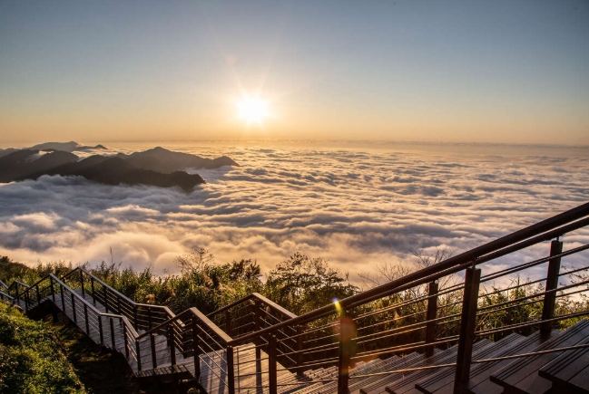 阿里山旅遊 阿里山旅遊