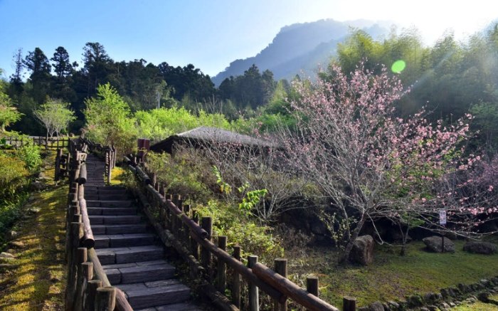 阿里山迷糊步道 阿里山迷糊步道