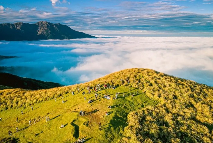 阳明山 阳明山