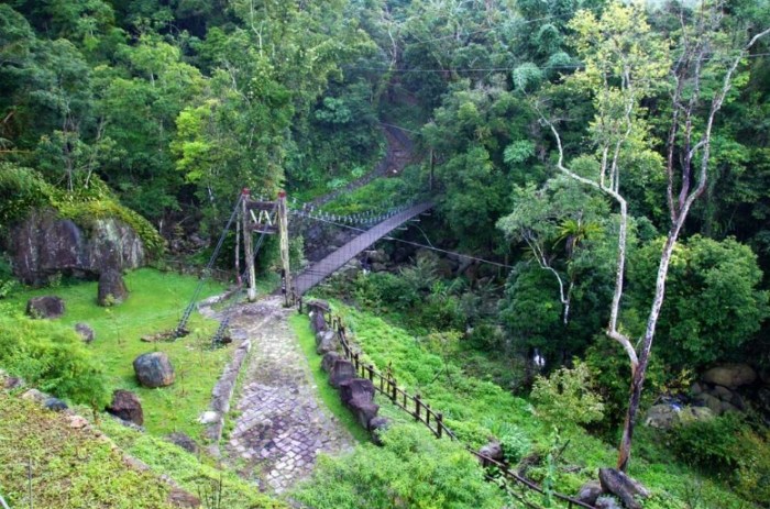 阿里山迷糊步道 阿里山迷糊步道