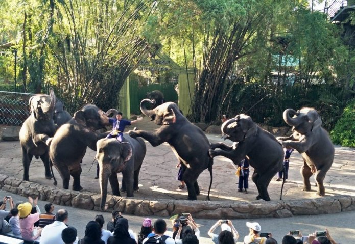 賽佛瑞野生動物園 賽佛瑞野生動物園