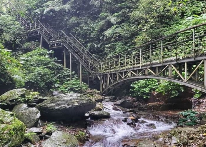 林美磐石步道 林美磐石步道