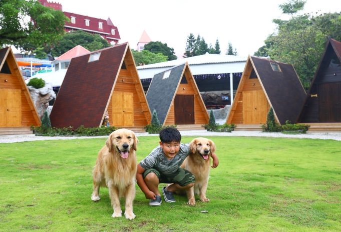 台南寵物旅館 台南寵物旅館