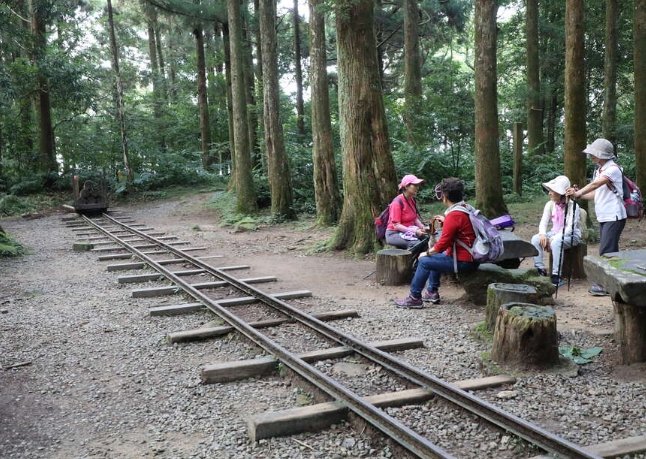 東眼山國家森林遊樂區
