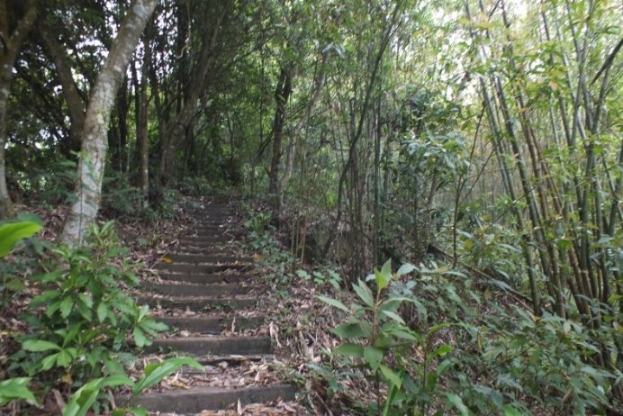 白雞山步道