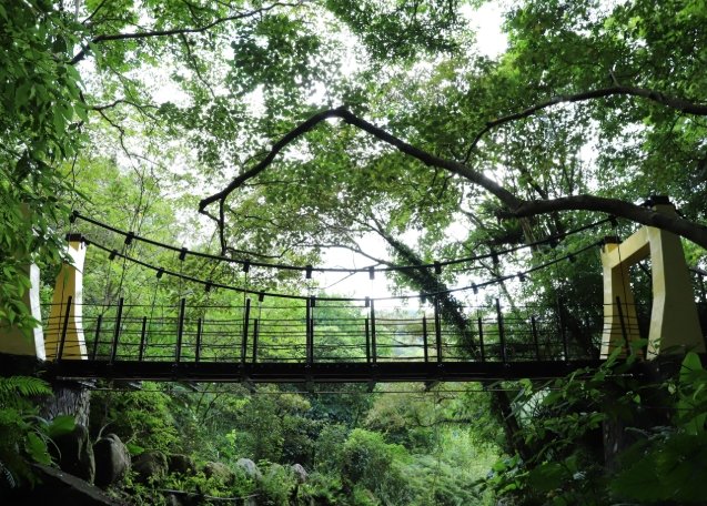 中央嶺步道 中央嶺步道
