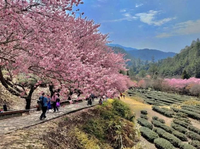 中部旅遊景點