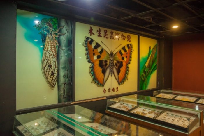 木生昆蟲博物館