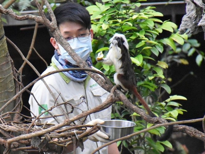 台北動物園 台北動物園