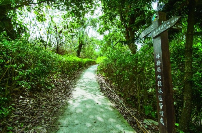桃源里森林步道 桃源里森林步道