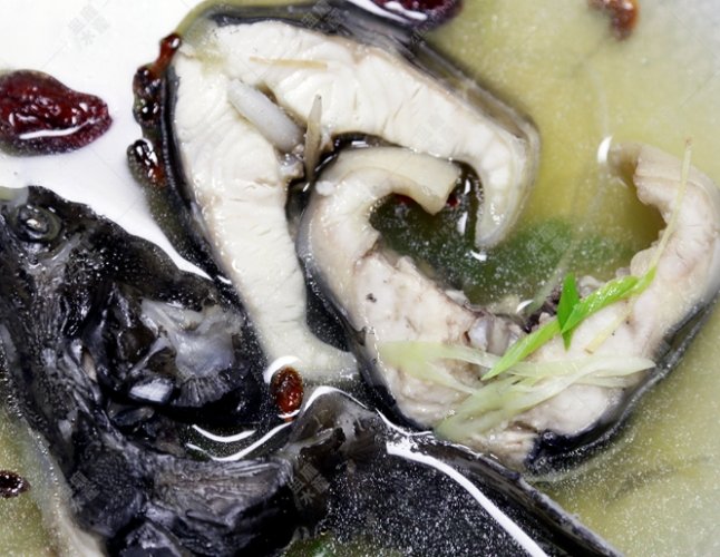 鱘龍魚湯 鱘龍魚湯