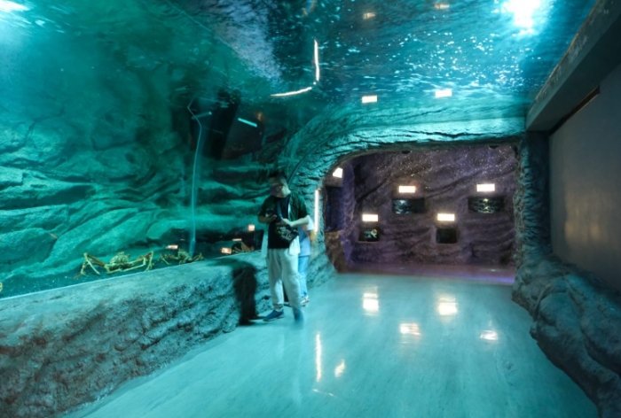 桃園海洋館 桃園海洋館
